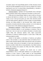 Diplomdarbs 'Ceļu satiksmes negadījumu noformēšanas īpatnības', 13.