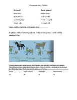 Konspekts 'Pārbaudes darbs latviešu valodā', 2.