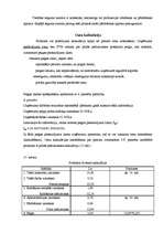 Referāts 'Pašizmaksas un cenu veidošanas principi', 13.