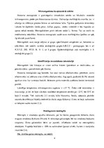 Referāts 'Meningokoks (Neisseria meningitidis)', 4.