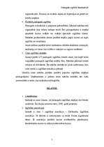 Referāts 'Pieaugušo izglītība Skandināvijā', 3.