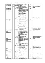 Paraugs 'Sporta stundas konspekts 6.klasei akrobātikā', 2.