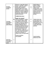 Paraugs 'Sporta stundas konspekts 6.klasei akrobātikā', 4.
