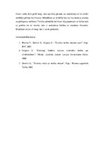 Eseja 'Hamurapi likumdošanas atziņas kriminoloģiskās domas izveides kontekstā', 3.