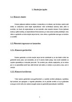 Referāts 'Video novērošanas sistēmas instalācija', 4.