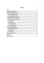 Referāts 'Ko nozīmē perfekta preses konference', 2.