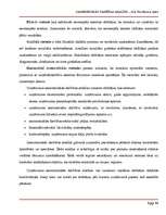 Referāts 'SIA „TietoEnator Alise” saimnieciskās darbības analīze', 11.