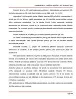 Referāts 'SIA „TietoEnator Alise” saimnieciskās darbības analīze', 19.