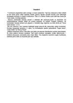 Referāts 'Volfgangs Amadejs Mocarts ', 2.