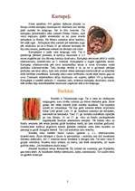 Konspekts 'Dārzeņi', 2.