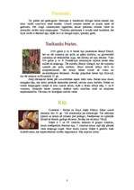 Konspekts 'Dārzeņi', 3.