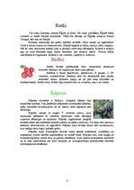 Konspekts 'Dārzeņi', 4.