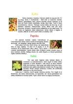 Konspekts 'Dārzeņi', 6.