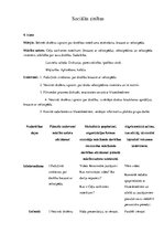 Konspekts 'Sociālās zinības 4.klasei', 1.