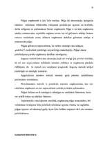 Referāts 'Peļņa un tās rādītāji', 19.