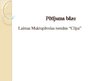 Prezentācija 'Leksikas īpatnības Laimas Muktupāvelas romānā "Cilpa"', 4.