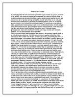 Referāts 'Sievietes loma renesansē', 8.