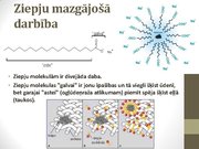 Prezentācija 'Ziepes. Mazgāšanas līdzekļi', 7.