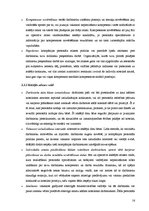 Diplomdarbs 'Personāla atlases stratēģijas uzņēmumos Latvijā', 16.