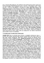 Konspekts 'Romiešu tiesības', 29.