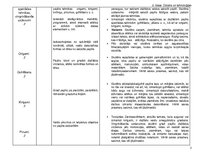 Konspekts 'Tematiskais plāns', 3.