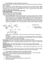 Konspekts 'Eksāmena jautājumi finanšu pamatos', 1.