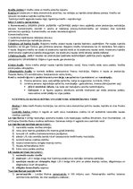 Konspekts 'Eksāmena jautājumi finanšu pamatos', 6.