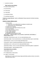 Konspekts 'Eksāmena jautājumi finanšu pamatos', 16.