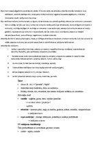 Konspekts 'TV žurnālistika', 1.