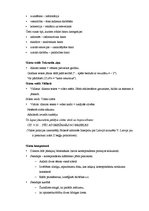 Konspekts 'TV žurnālistika', 2.