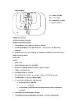 Konspekts 'TV žurnālistika', 6.