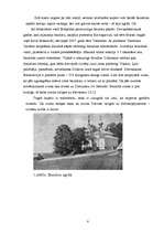 Referāts 'Eržepoles ielas vēsture', 8.