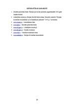 Referāts 'Sociālo pakalpojumu attīstība un perspektīvas', 13.