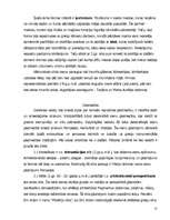 Referāts 'Antīkā kultūra', 22.