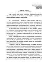 Eseja 'Notikuma apraksts. Autobusa un taksometra sadursme', 1.