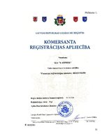 Referāts 'Uzņēmuma SIA "Larmos" darbības analīze', 22.