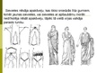 Prezentācija 'Sievietes loma Senajā Romā', 7.