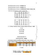 Referāts 'Datormācība ekonomistiem', 17.