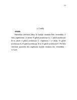 Referāts 'Datormācība ekonomistiem', 22.