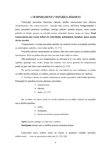 Referāts 'Temperamenta tipi', 4.