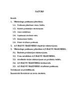 Referāts 'Mārketinga plānošana ražošanas uzņēmumam', 1.