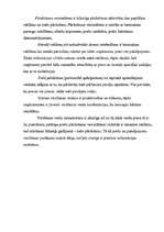 Referāts 'Mārketinga plānošana ražošanas uzņēmumam', 12.