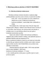 Referāts 'Mārketinga plānošana ražošanas uzņēmumam', 17.