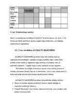 Referāts 'Mārketinga plānošana ražošanas uzņēmumam', 19.