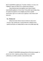 Referāts 'Mārketinga plānošana ražošanas uzņēmumam', 22.