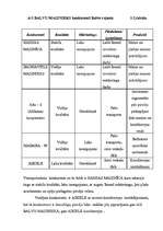 Referāts 'Mārketinga plānošana ražošanas uzņēmumam', 23.