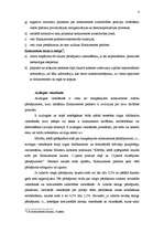 Konspekts 'Konkurence', 7.