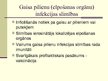 Prezentācija 'Infekciju slimības', 8.