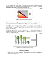 Referāts 'Internetveikali Latvijā', 24.