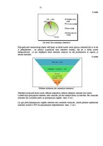 Referāts 'Internetveikali Latvijā', 25.